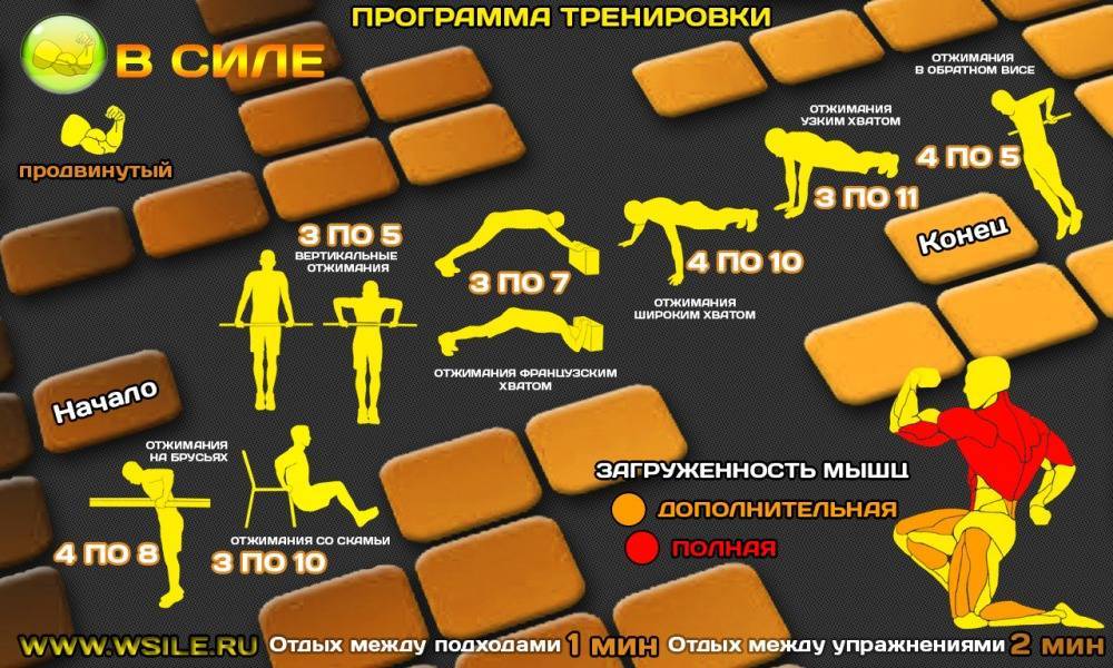 Кроссфит: программа тренировок для мужчин на видео от fitnessera.ru