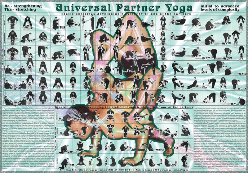 Основы и особенности универсальной йоги для всех – авторского метода андрея лаппы