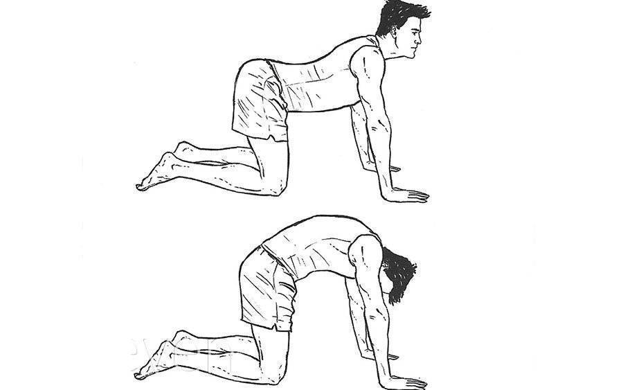 Освобождаем спину от зажимов! топ-3 лучших упражнения для растяжки мышц