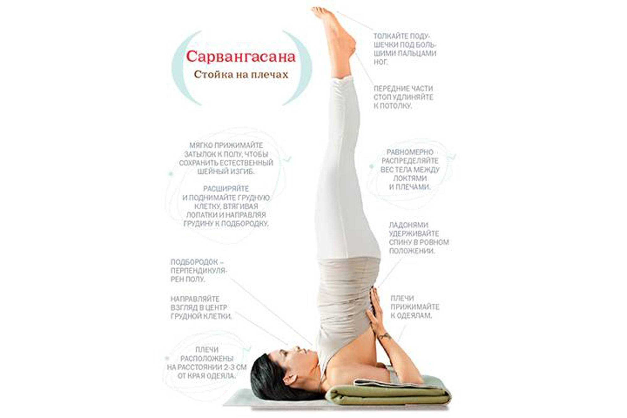 Поза березки в йоге / сарвангасана техника выполнения - yoga for me