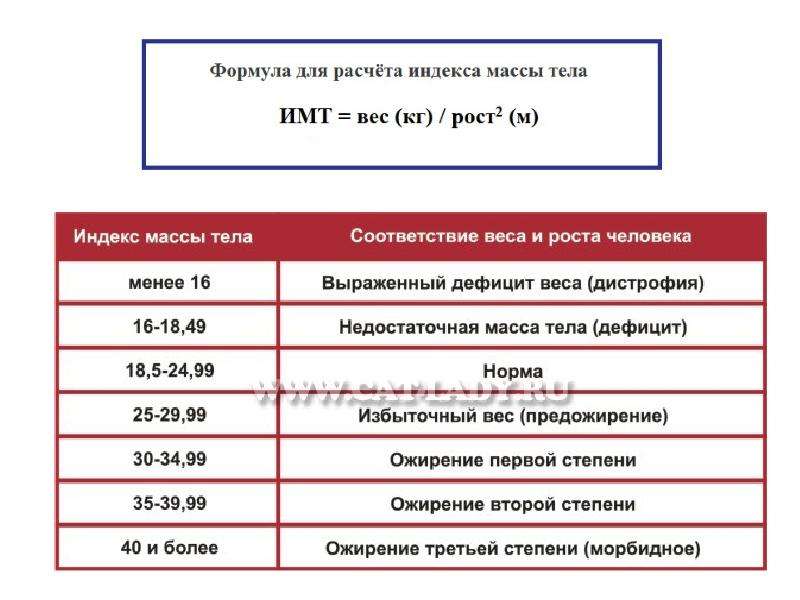 Калькулятор индекса массы тела (имт)