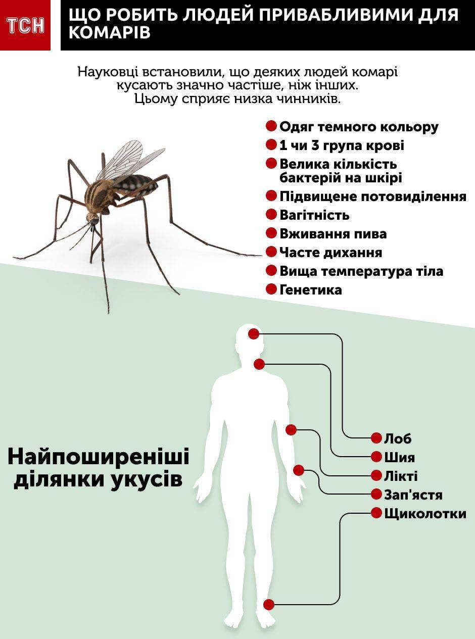 Какую группу крови любят комары, а какую нет