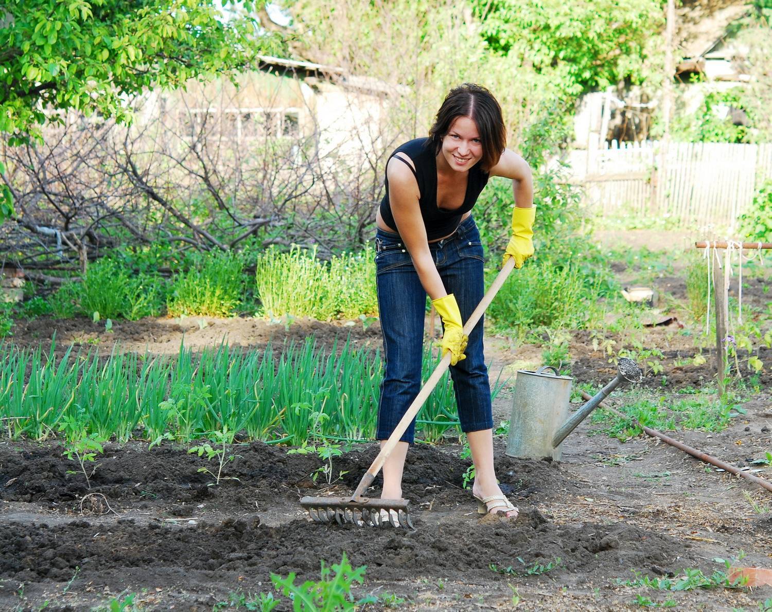 Садовые работы на даче – как облегчить свой труд? + видео