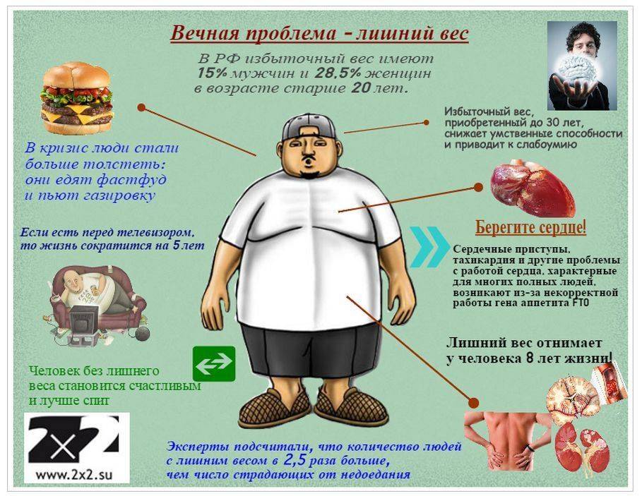 Ожирение и сердечно-сосудистые заболевания: факторы риска и «парадокс ожирения» | fpa