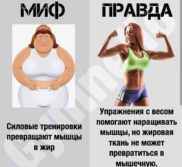 Что есть до и после тренировки для похудения
