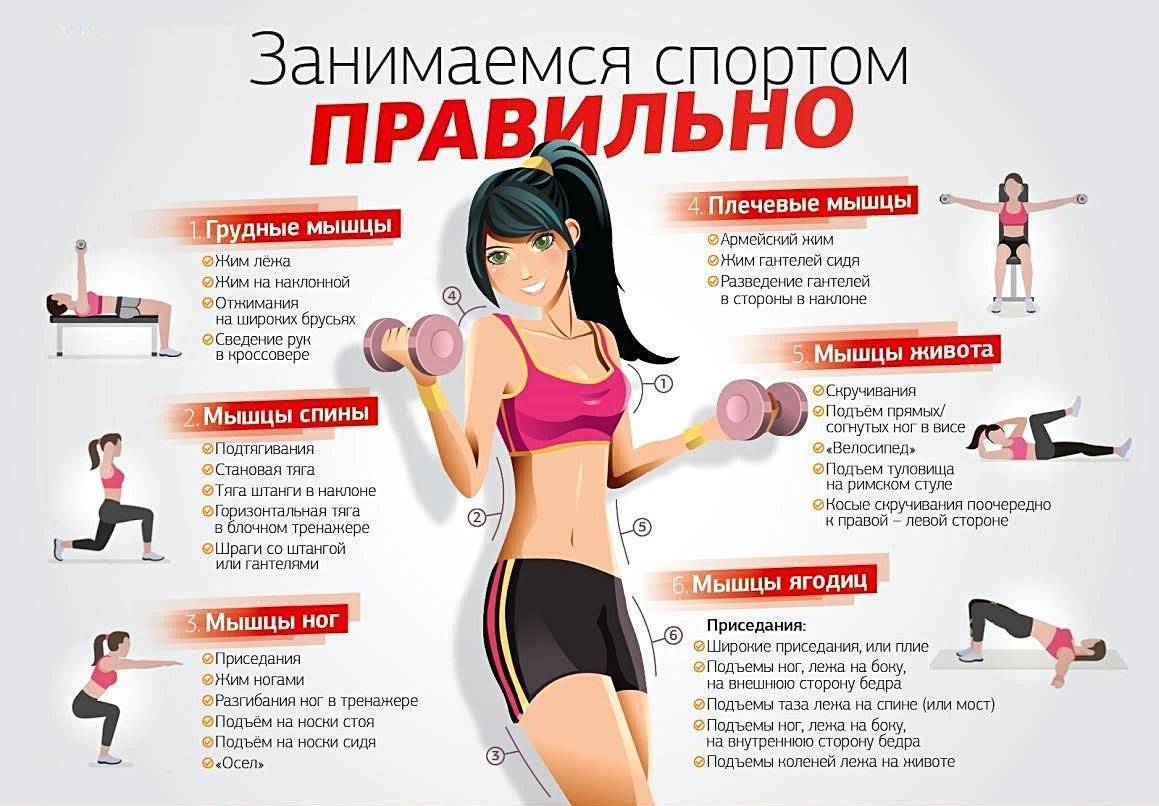 Силовые тренировки и похудение