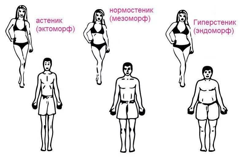 Эктоморф: кто это, их телосложение и как его определить?