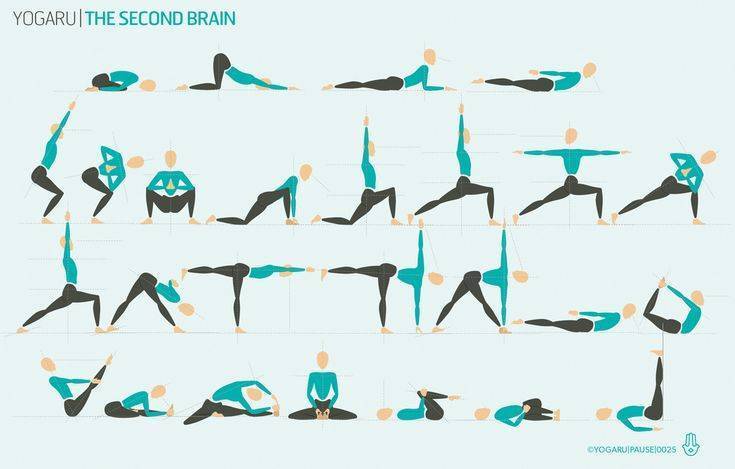 8 простых поз йоги для начинающих