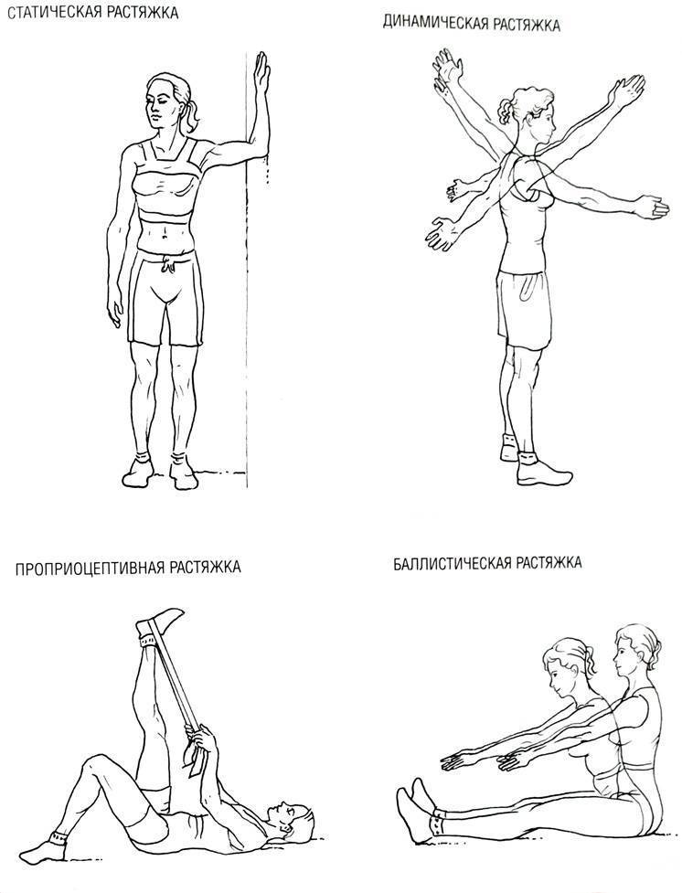 Фитнес-мифы: растяжка делает мышцы длинными и рельефными