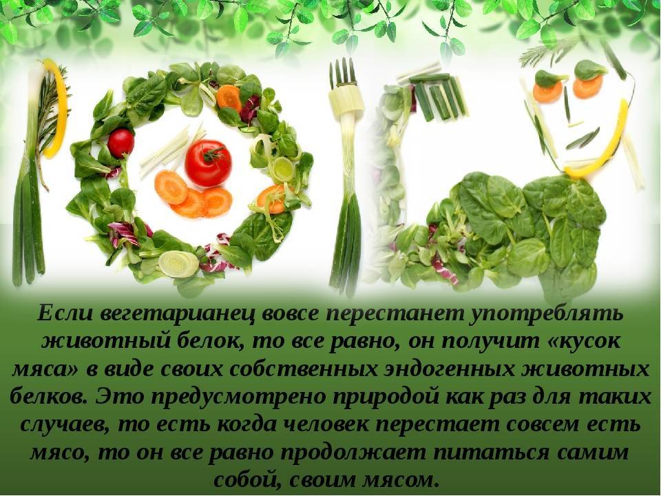 Как вегетарианство помогает и вредит человеческому здоровью? - hi-news.ru