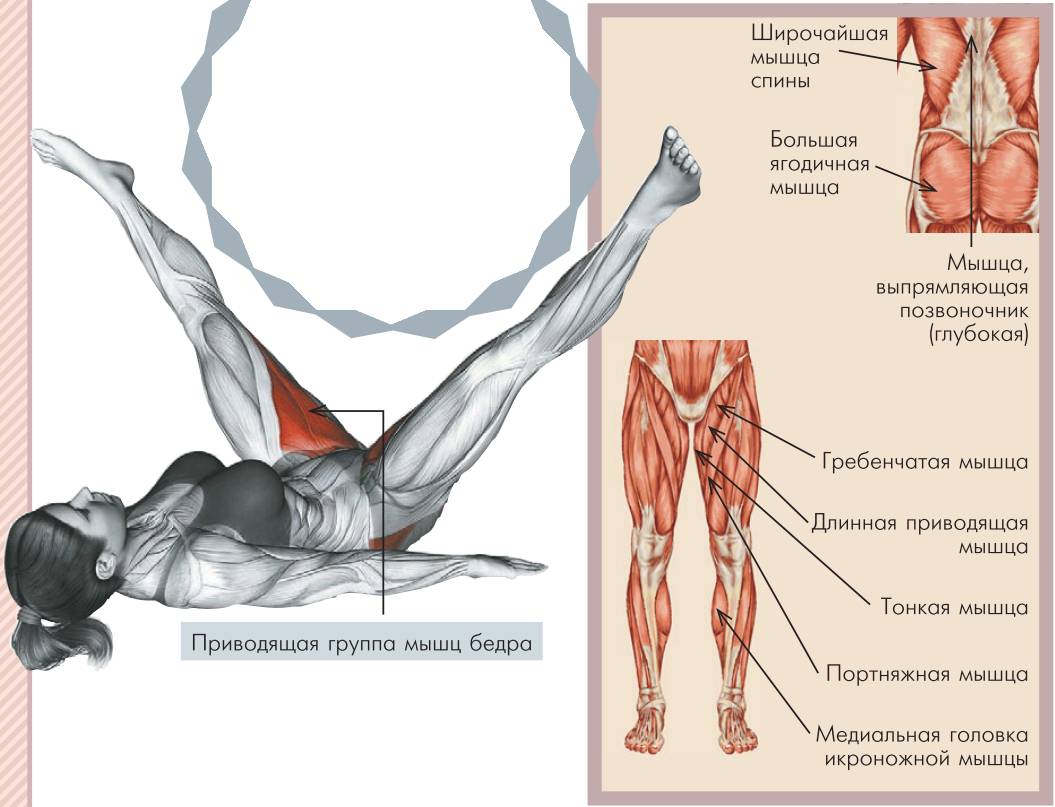 Разрыв мышцы бедра, живота или голени. причины и симптомы разрыва икроножной мышцы.