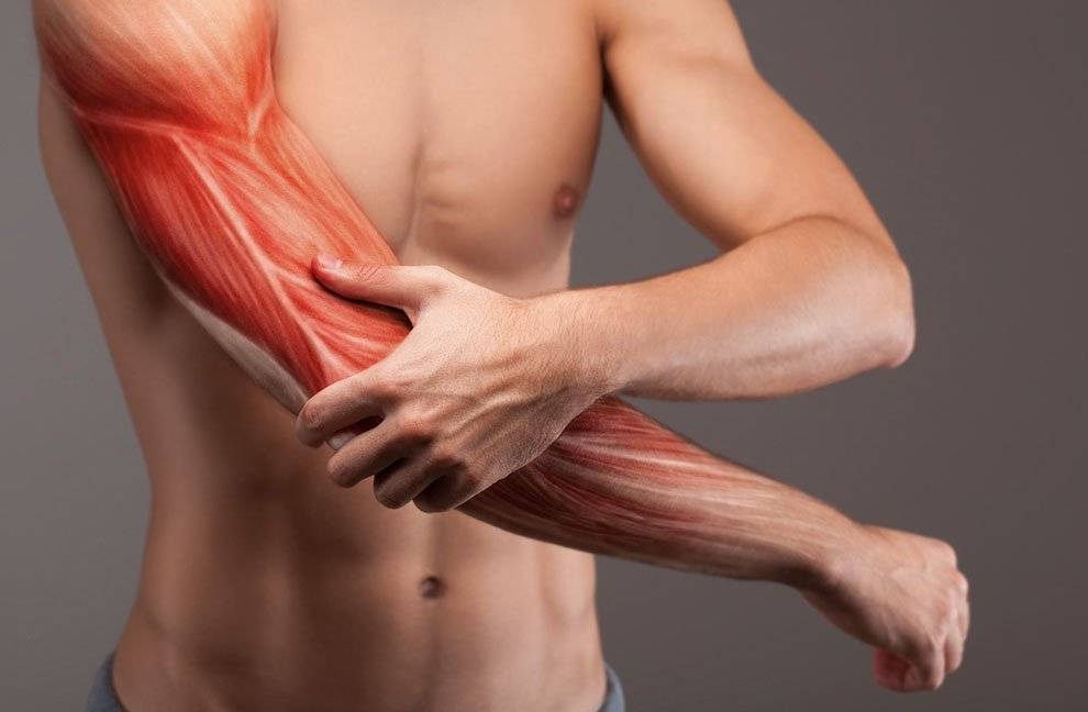 Болят мышцы после тренировки: почему и что делать?