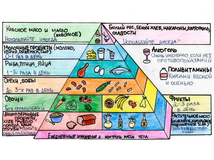Пищевая пирамида питания здорового, правильного для похудения, с помощью руки