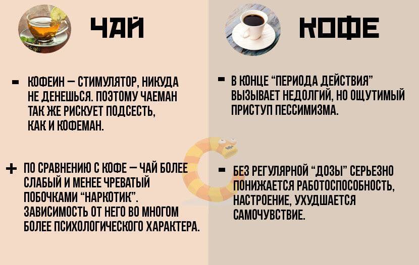 Кофе и чай: вред и польза | food and health