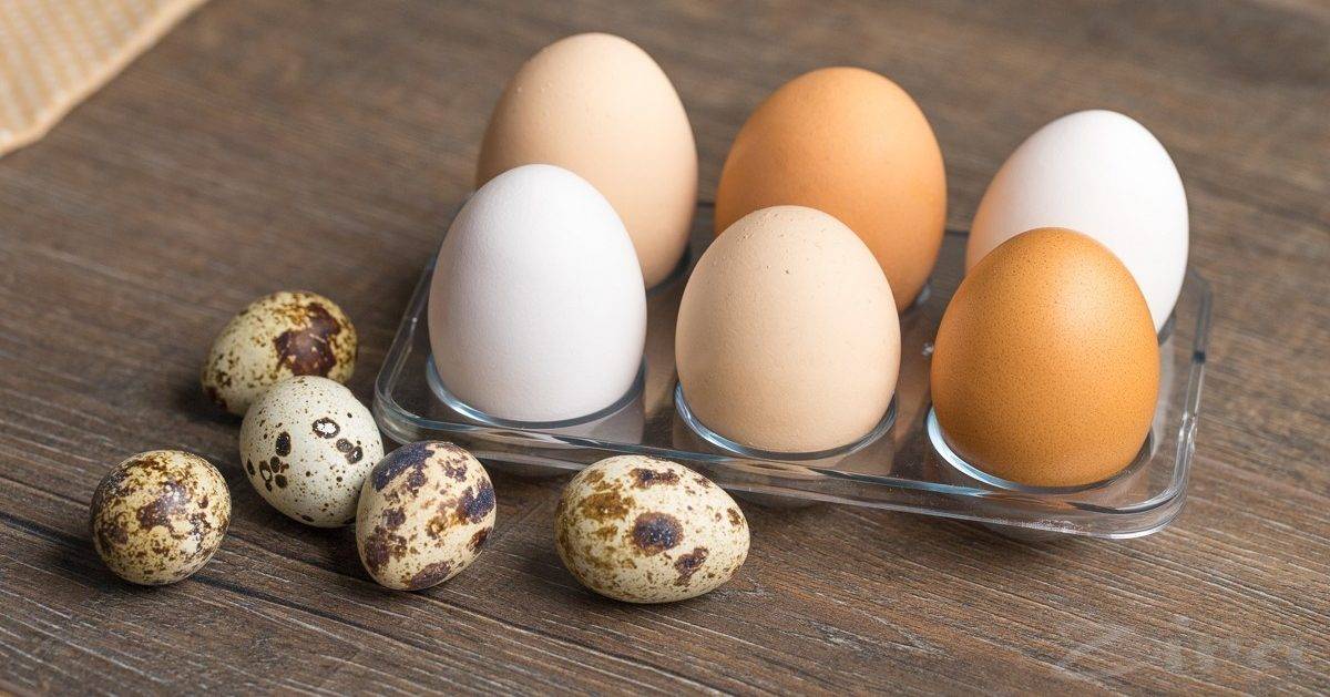 Яйца при повышенном холестерине в крови и атеросклерозе