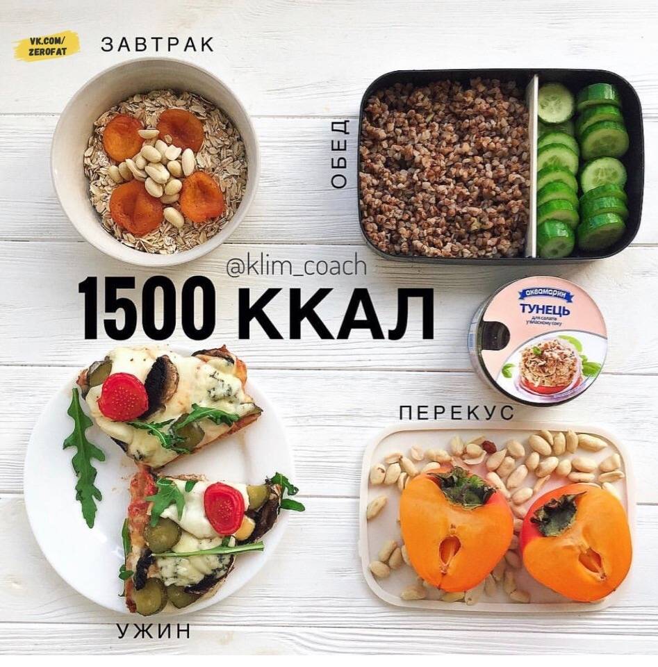 Питание на 1500 калорий в день: меню на месяц и неделю, рацион питания, рецепты