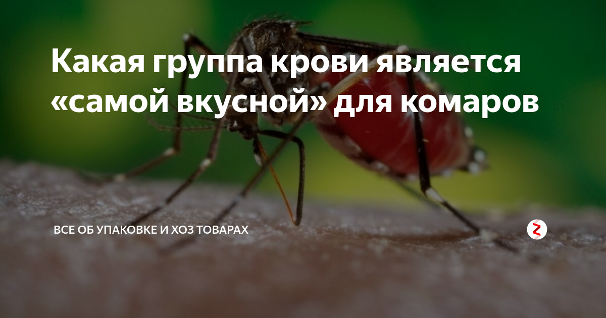 Какую группу крови любят комары и почему кусают не всех