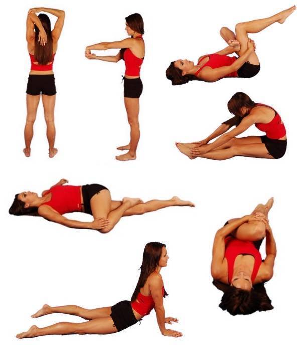 Упражнения на растяжку для начинающих: простая гимнастика на растягивание мышц, комплекс движений на все части тела, разминка перед тренировкой