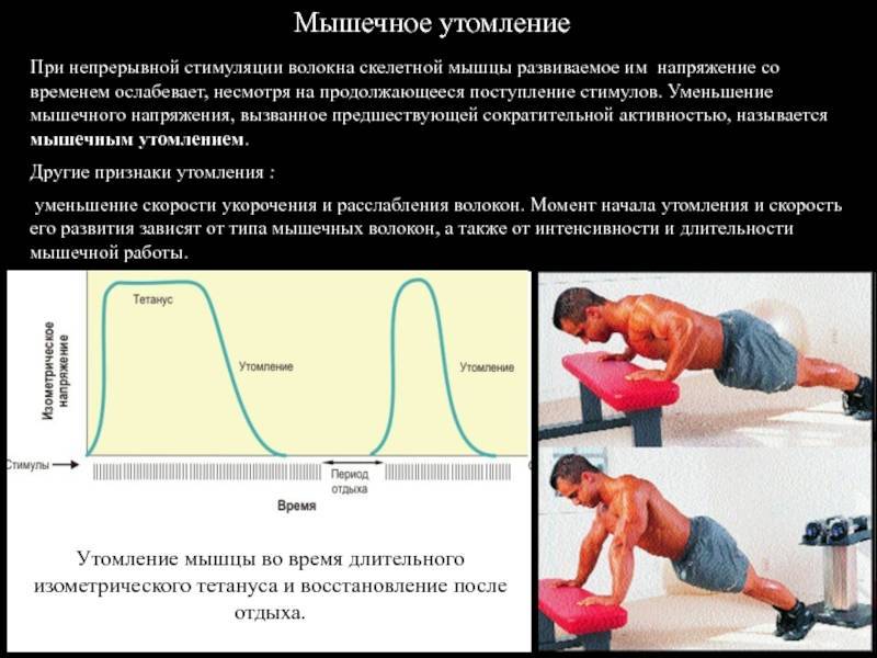 В физиологическом плане труд представляет собой процесс расходования энергии человека