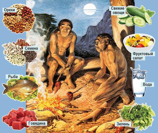 Палеодиета. палеолитическая диета охотников собирателей, диета древних людей  |  как похудеть правильно. метаболический метод сергеева