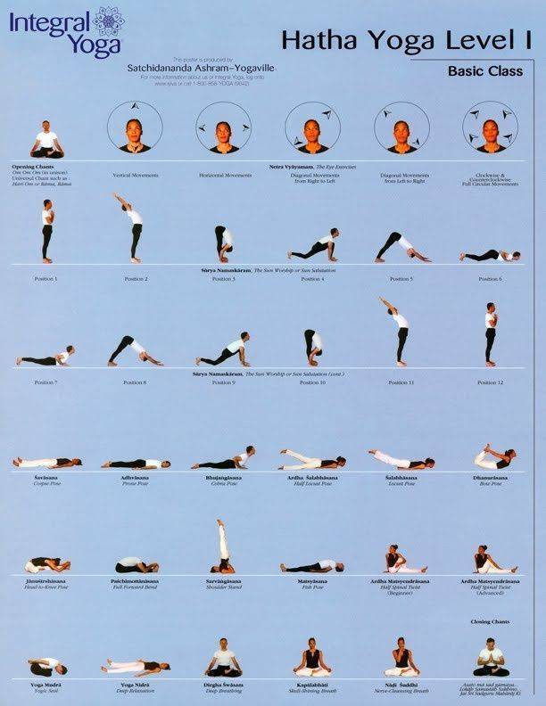 Хатха-йога: базовые упражнения и отличие от обычной йоги