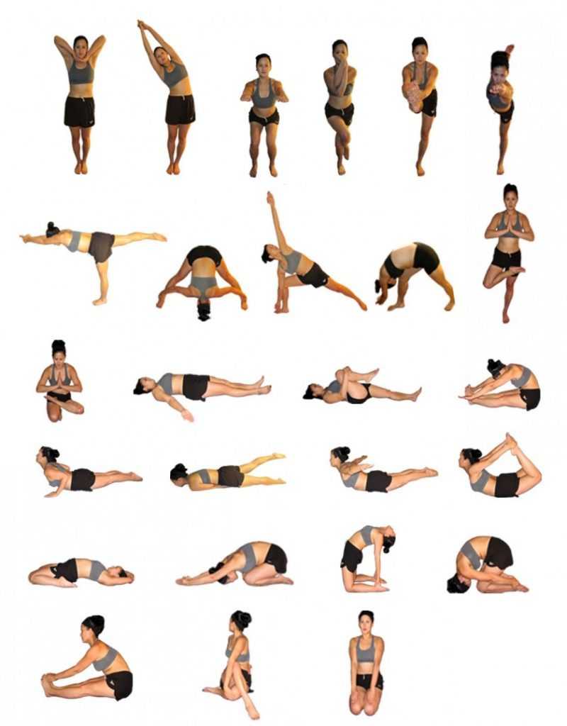 Йога для спины и позвоночника: лучший комплекс упражнений для начинающих