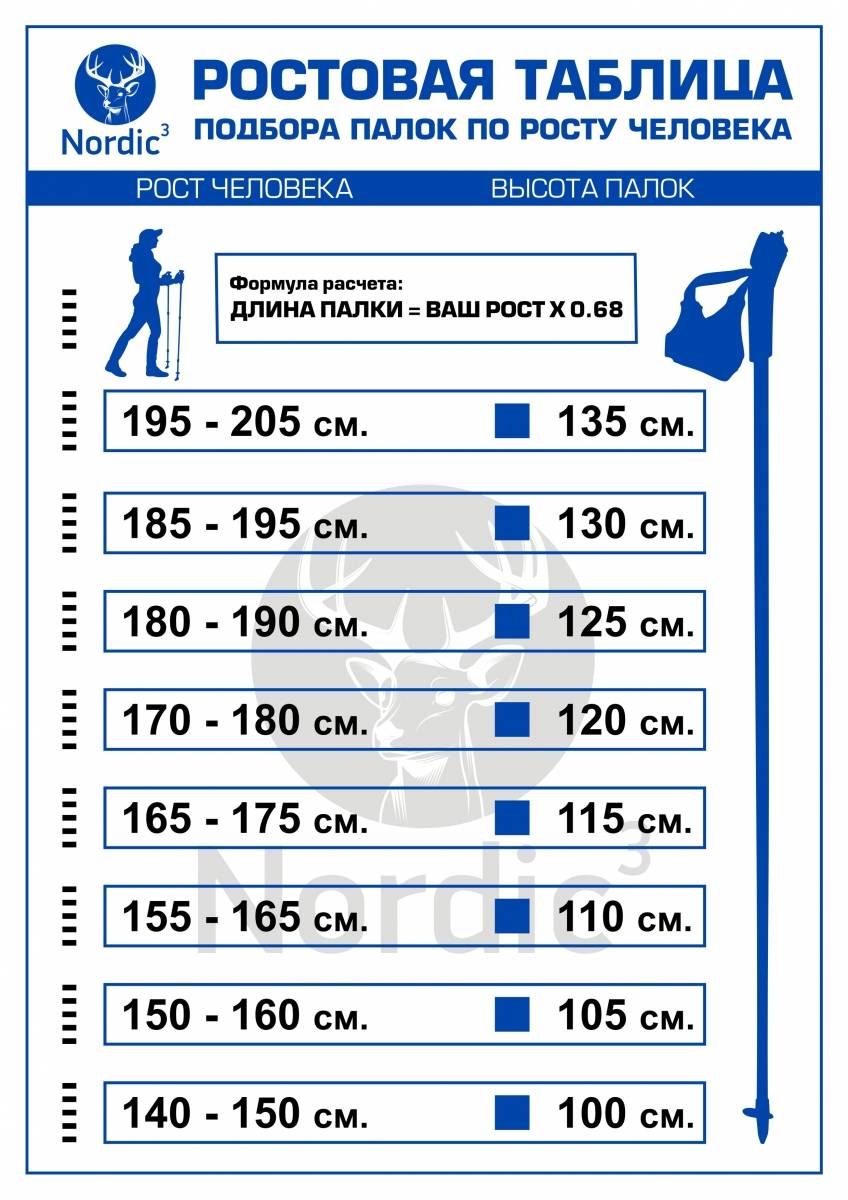 Топ-10 лучшие палки для скандинавской ходьбы: рейтинг, какие выбрать и купить, техника ходьбы, характеристики, отзывы, плюсы и минусы
