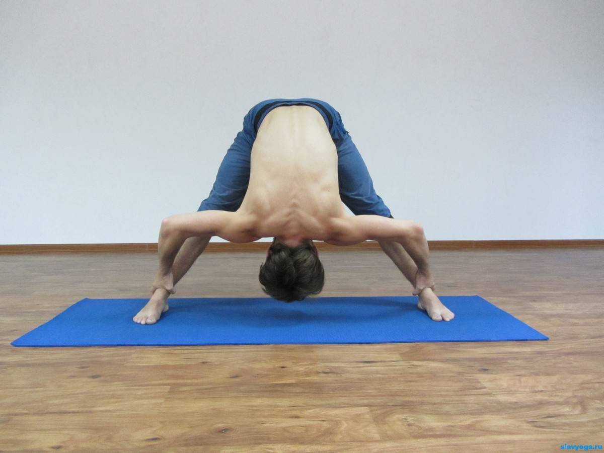Урдхва дханурасана или поза колеса в йоге: техника выполнения, польза, противопоказания