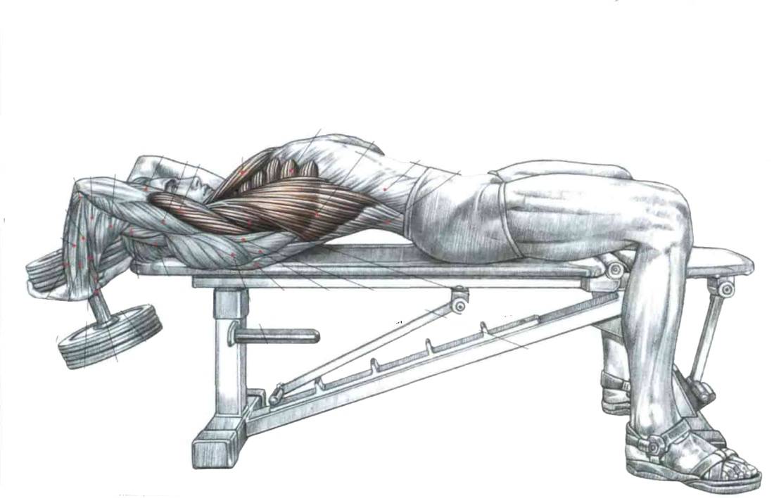 Жим гантелей лежа на горизонтальной скамье для мышц груди