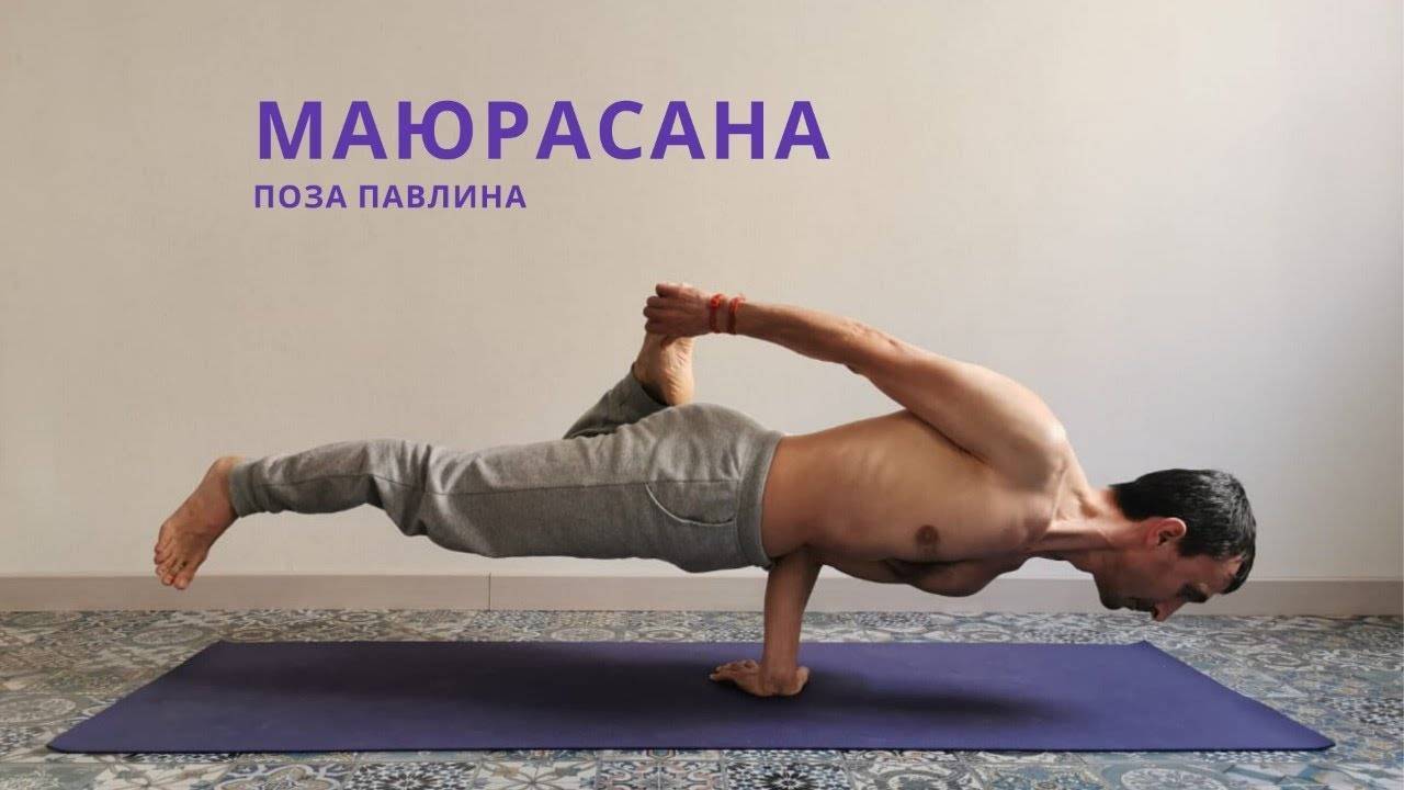 Маласана: техника выполнения позы гирлянды в йоге с фото и видео