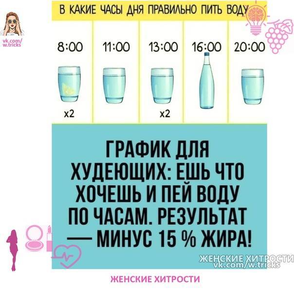 Как правильно пить воду в течении дня  | vodaplus.ru