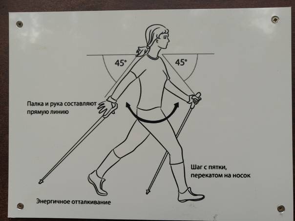 Скандинавская ходьба с палками видео уроки: как правильно ходить (10+ видео)