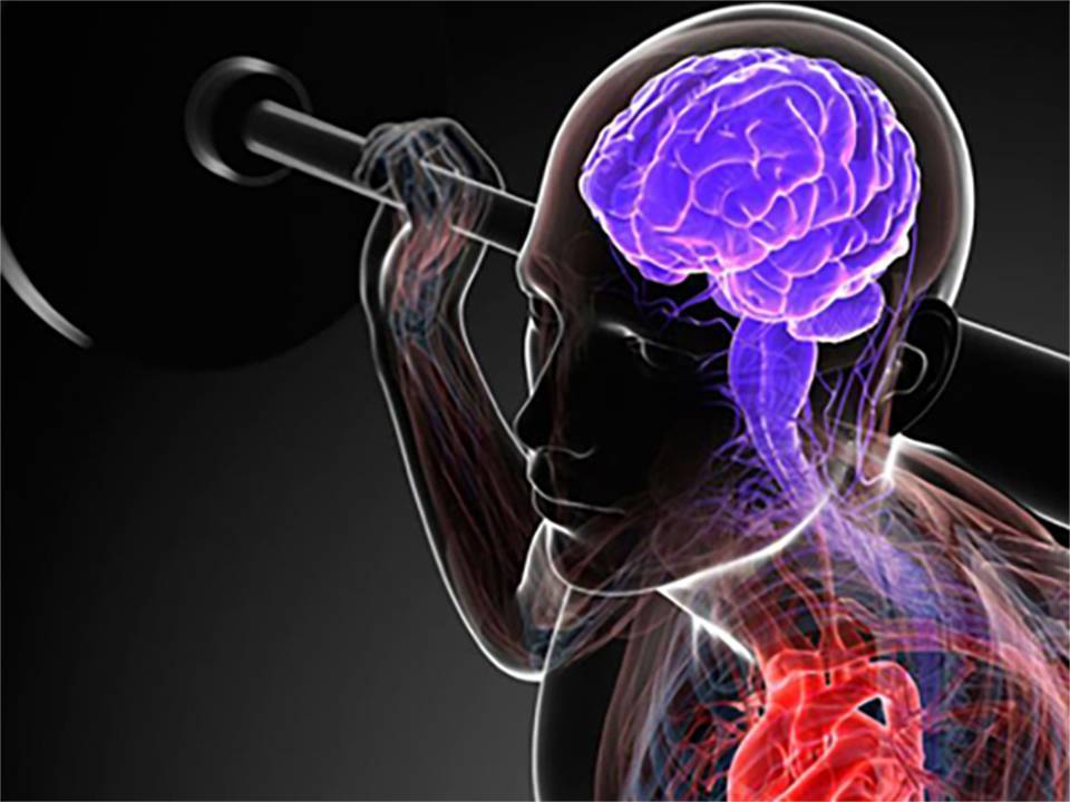 Нейробика: 10 упражнений для развития мозга