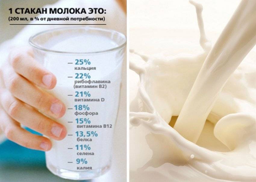 Узнаем можно ли пить молоко при похудении? сколько калорий в стакане молока? диета на неделю для похудения