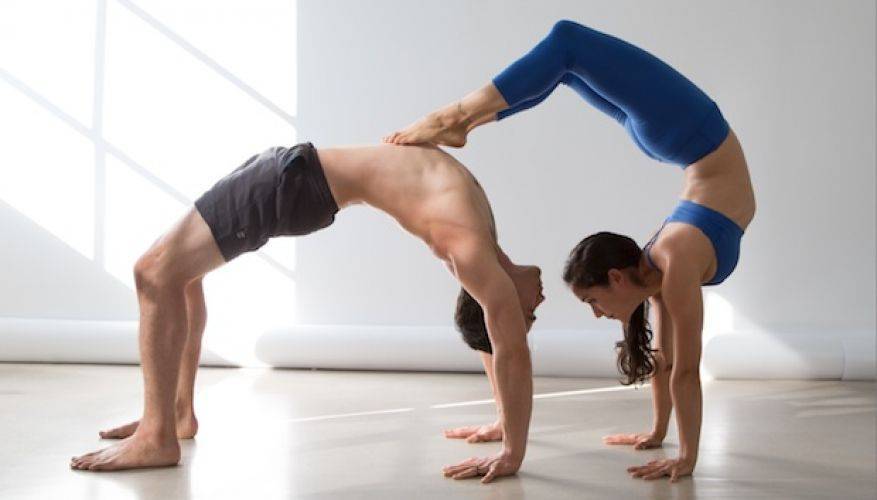 Позы йоги для двоих: описание 17 асан для двоих с фото начального уровня - yogictv