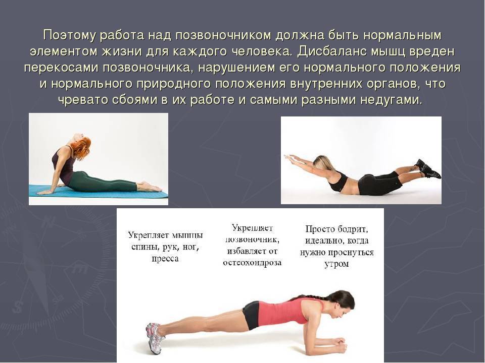 Упражнения для укрепления мышц спины и поясницы: особенности и программа тренировок