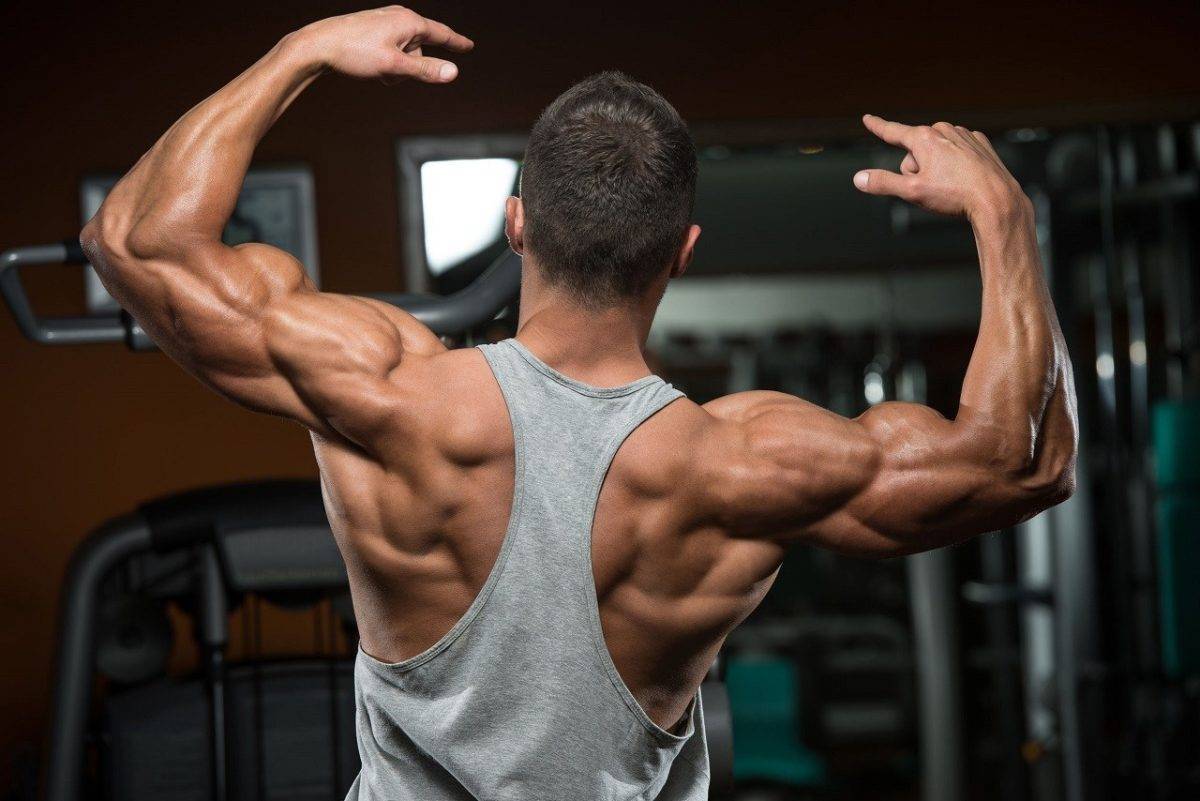 Почему мышцы не растут при интенсивных тренировках: возможные причины и советы