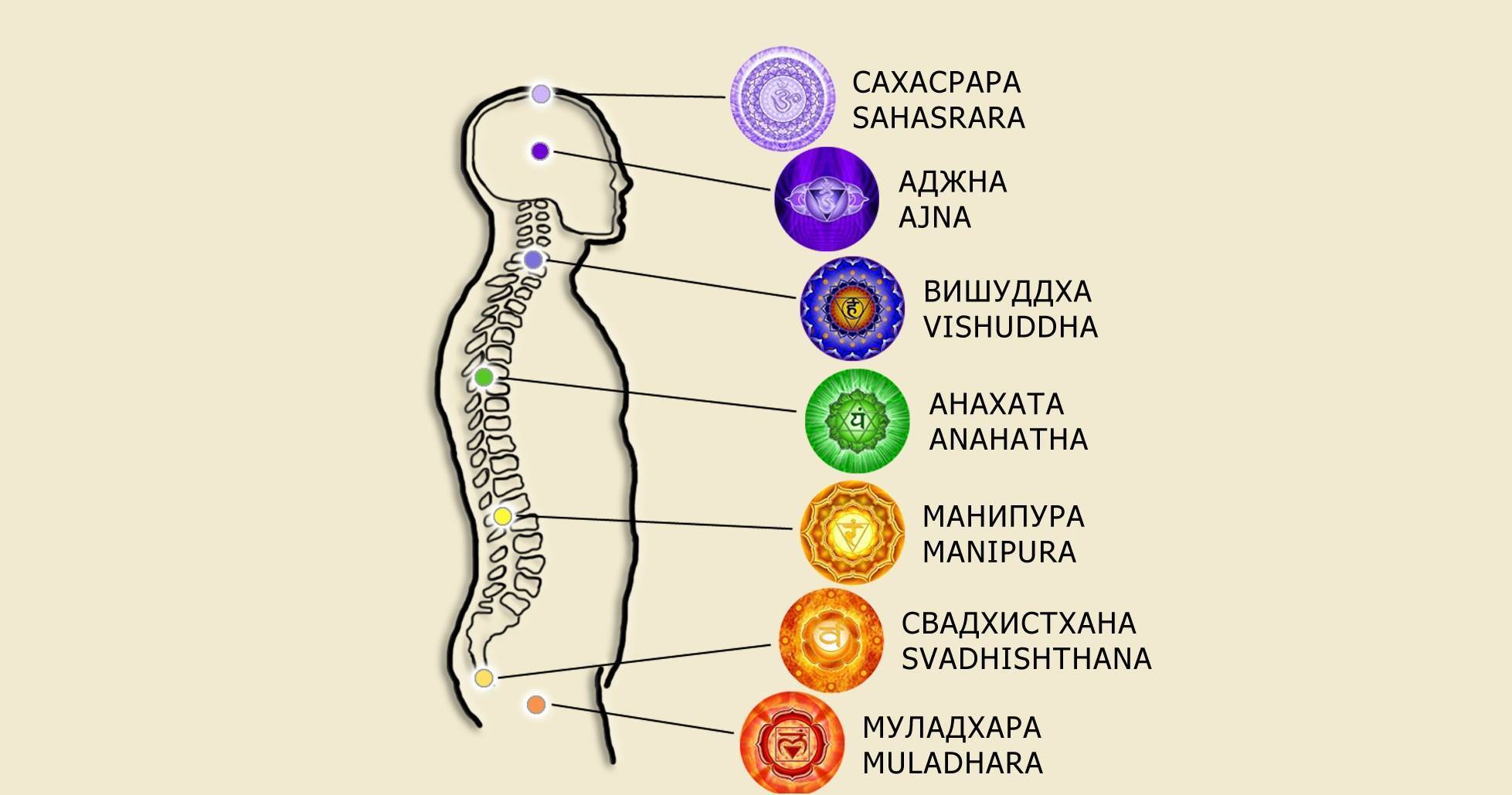 Точки чакры. Энергетические центры человека чакры. Чакры схема расположения. Чакры на позвоночнике. Чакры на теле человека схема.