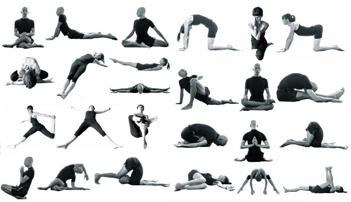Асаны в йоге для начинающих: 10 безопасных и полезных асан в йоге на каждый день