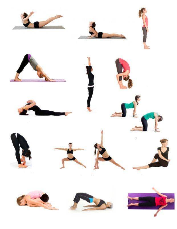 Асаны йоги для укрепления мышц спины и позвоночника. упражнения для начинающих в домашних условиях от боли в спине