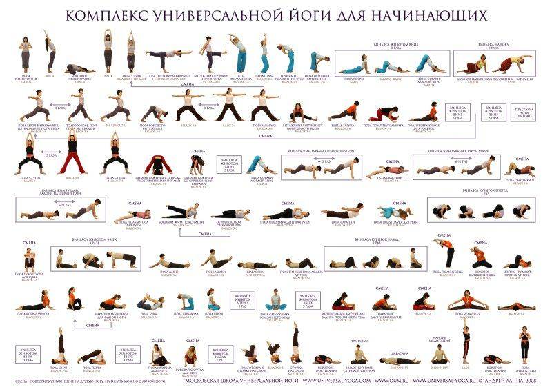 Асаны. описание асан йоги с картинками и объяснениями
