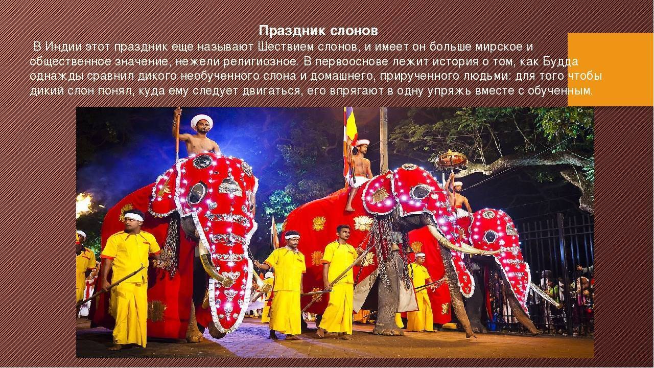 Обычаи и традиции индии