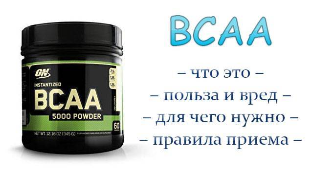 Спортивное питание бца (bcaa): польза вред, как пить, отзывы