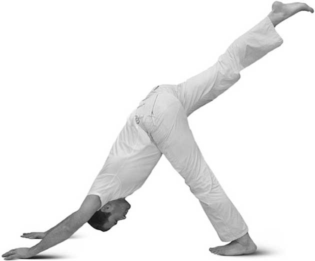 Йога для суставов и позвоночника: какова польза от занятий, базовые асаны - proinfospine