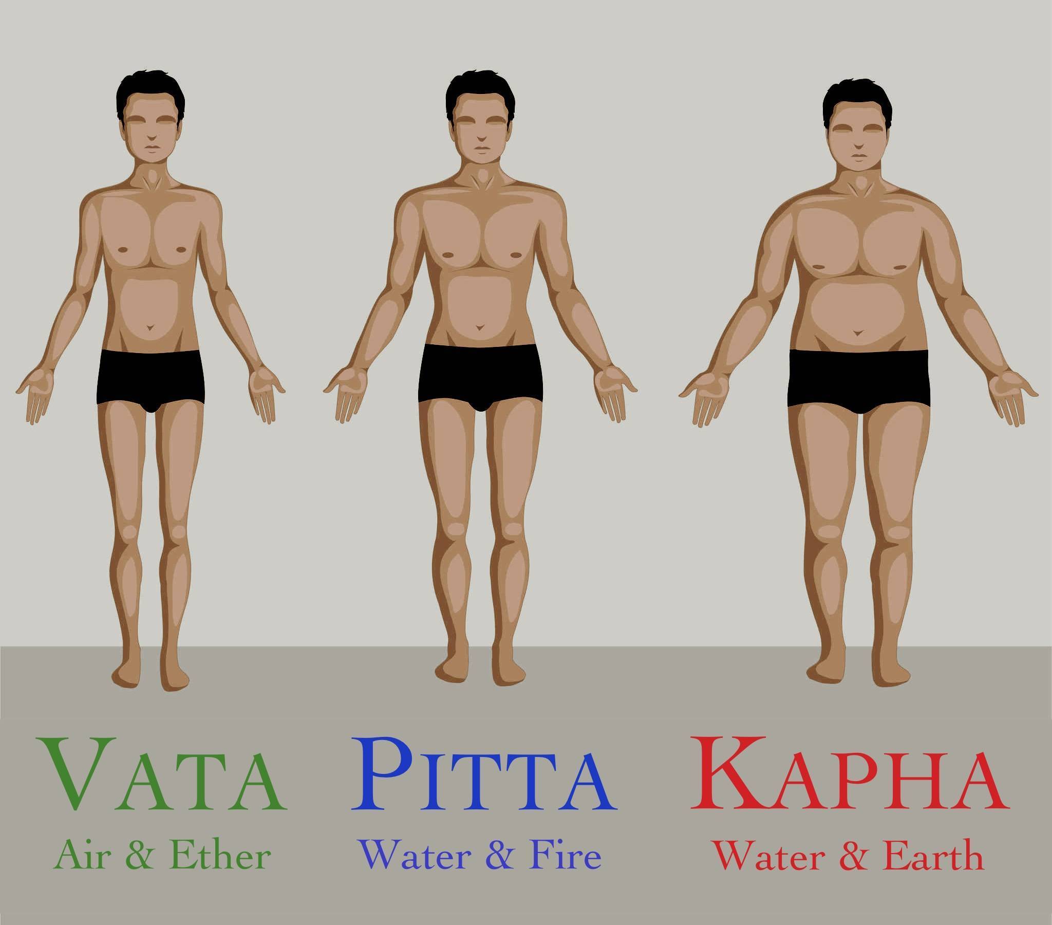 Характеристика типа тела с преобладанием вата-доша. практическое целительство. исцеление через гармонию