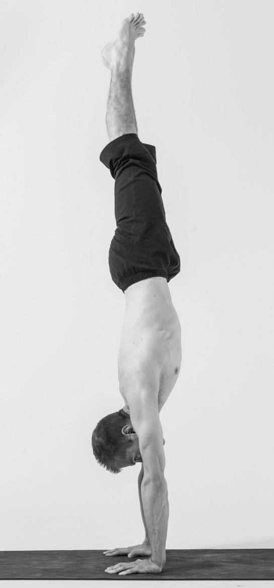Читать книгу йога-анатомия. как работают асаны для здоровья и стройности тела татьяны громаковской : онлайн чтение - страница 2