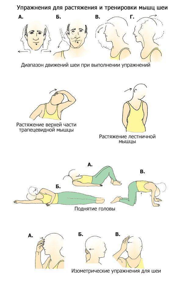 Гимнастика для шеи. упражнения при шейном остеохондрозе