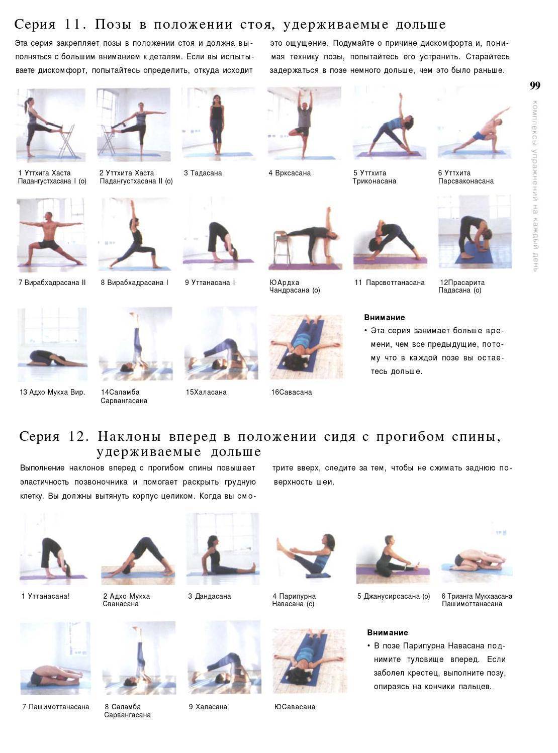 Cловарь йога | федерация йоги россии – федерация йоги россии