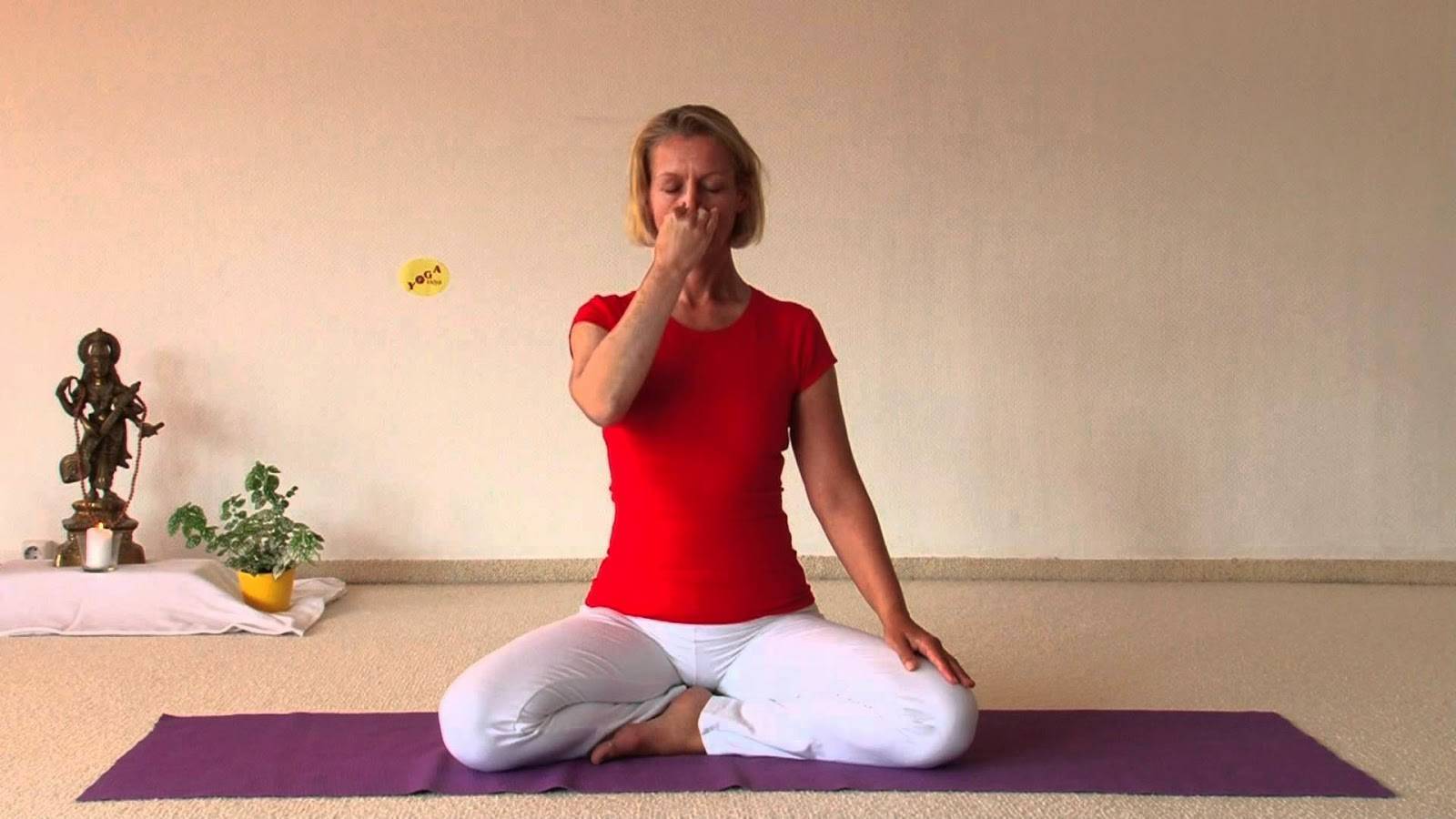 Пранаяма что это: техника дыхания для начинающих, йога, отзывы