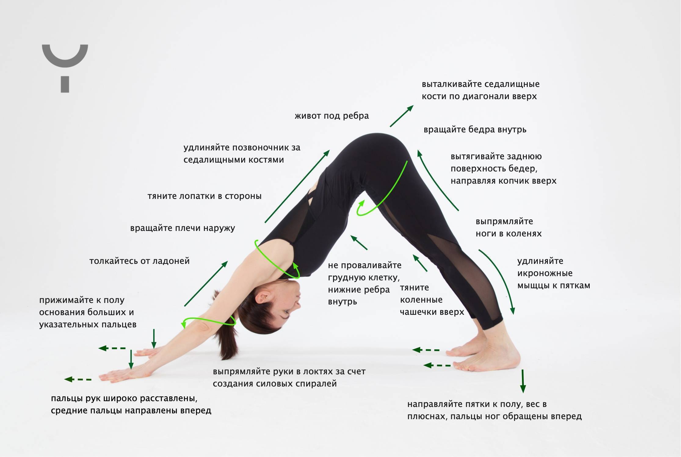 Асаны в йоге: позы йоги и упражнения для начинающих